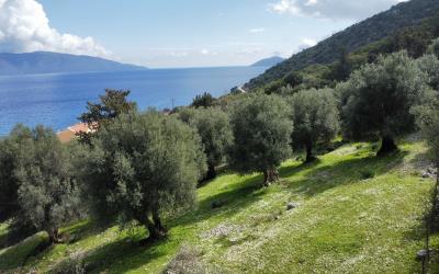 Agia-Efimia-Exquisite-Plot-For-Sale-2