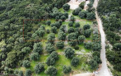 Agia-Efimia-Exquisite-Plot-For-Sale-7