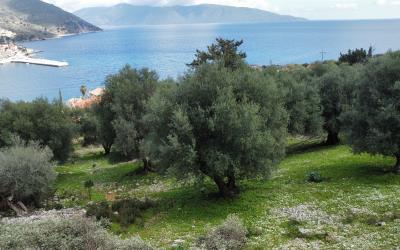 Agia-Efimia-Exquisite-Plot-For-Sale-8