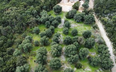 Agia-Efimia-Exquisite-Plot-For-Sale-9