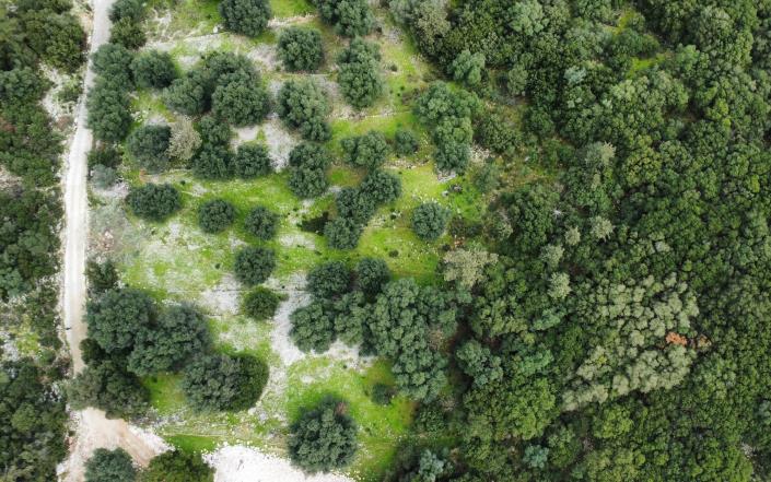 Image No.10-Plot for sale