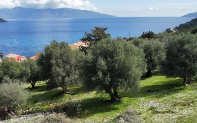Agia-Efimia-Exquisite-Plot-For-Sale-4
