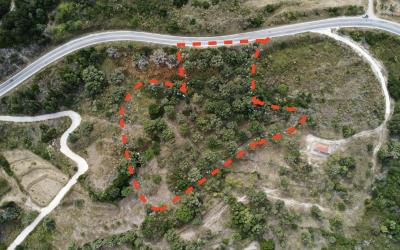 Agonas-Olive-Grove-with-Sea-Views-For-Sale-7