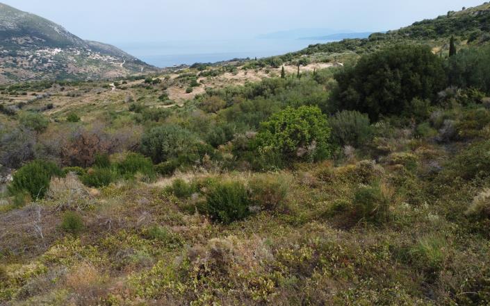 Image No.8-Land for sale