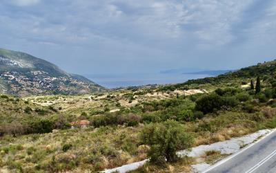 Agonas-Olive-Grove-with-Sea-Views-For-Sale-10