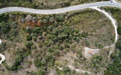 Agonas-Olive-Grove-with-Sea-Views-For-Sale-13