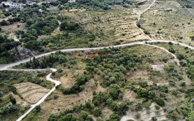 Agonas-Olive-Grove-with-Sea-Views-For-Sale-12