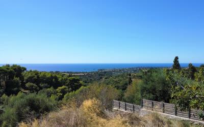 Korianna-Premium-Small-Plot-2