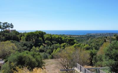 Korianna-Premium-Small-Plot-1