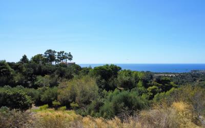 Korianna-Premium-Small-Plot-4