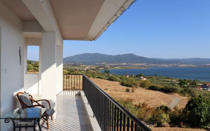 Image No.4-Vignoble de 4 chambres à vendre à Rentina