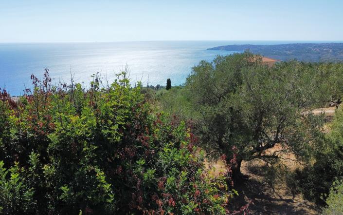 Image No.7-Villa de 3 chambres à vendre à Vlachata