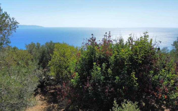 Image No.10-Villa de 3 chambres à vendre à Vlachata