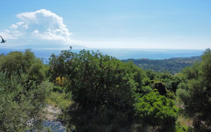 Image No.7-Terrain à vendre à Mousata