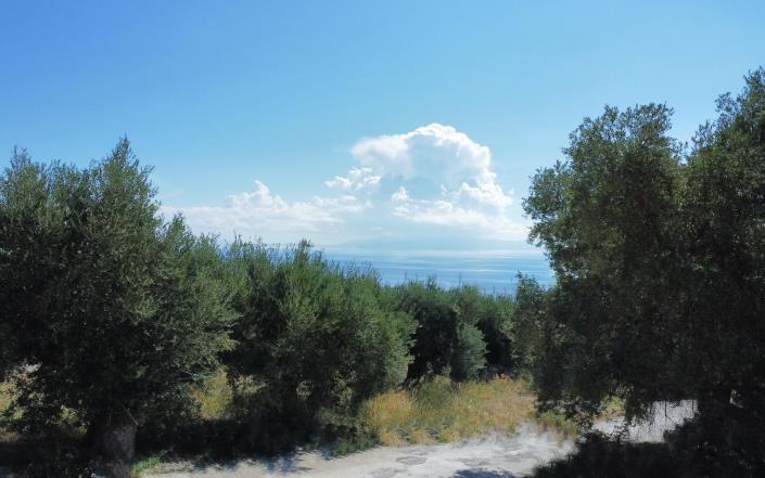 Image No.5-Terrain à vendre à Mousata