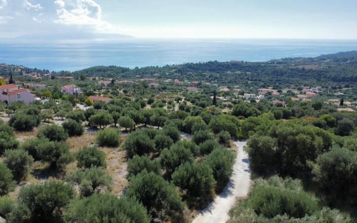 Image No.11-Terrain à vendre à Mousata