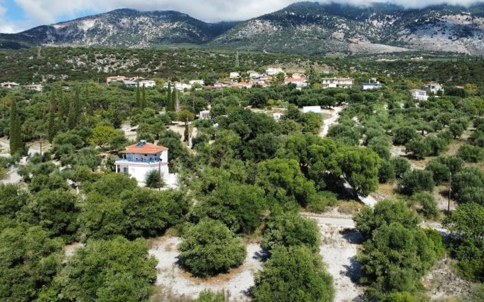 Image No.4-Terrain à vendre à Mousata