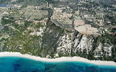 Platies-Amazing-Panoramic-Plot-4