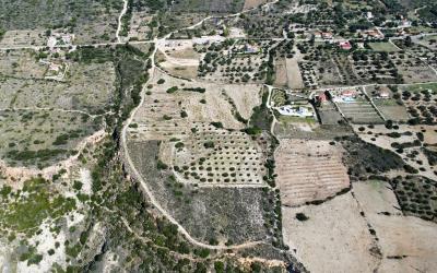 Platies-Amazing-Panoramic-Plot-7