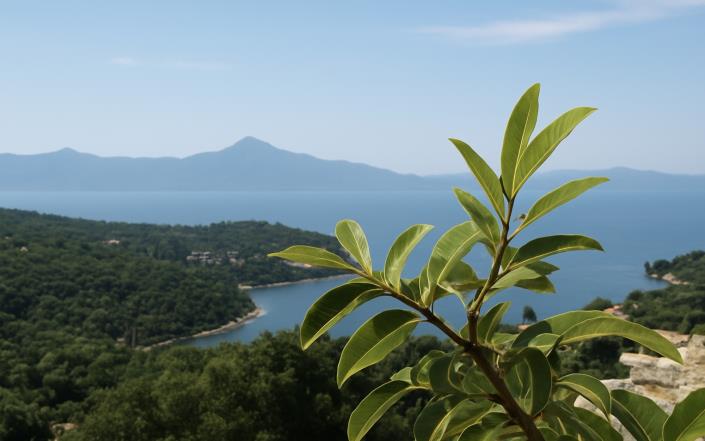Image No.4-Terrain à vendre à Îles Ioniennes