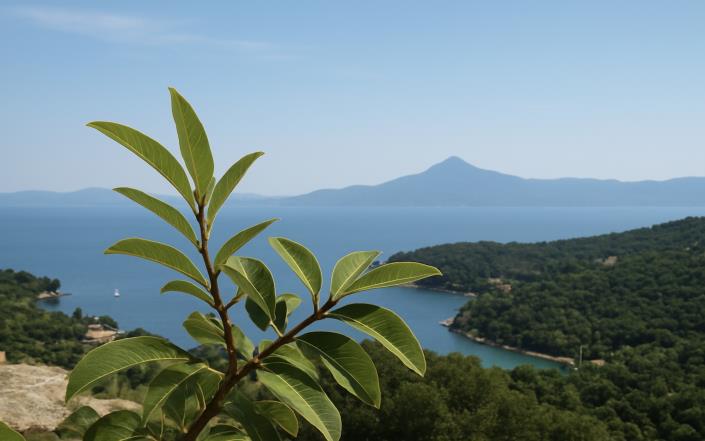 Image No.3-Terrain à vendre à Îles Ioniennes