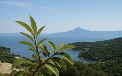 Meganisi-Exquisite-Plot-For-Sale-3