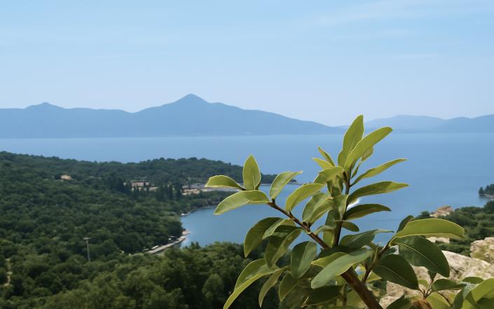 Image No.2-Terrain à vendre à Îles Ioniennes
