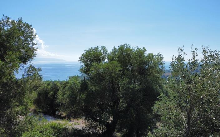 Image No.12-Maison / Villa de 2 chambres à vendre à Mousata