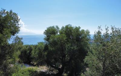 Trapezaki-Exclusive-OFF-PLAN-Villa-12