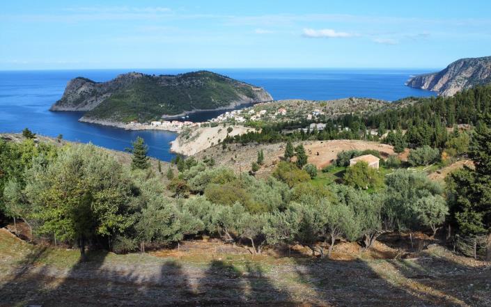 Image No.4-Terrain à vendre à Assos