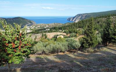 Asos-Panoramic-Views-Plot-3