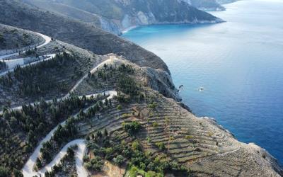 Asos-Panoramic-Views-Plot-11