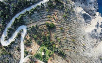 Asos-Panoramic-Views-Plot-14