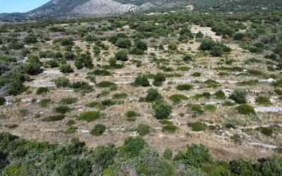 Trapezaki-Panoramic-Views-Spectacular-Plot-9