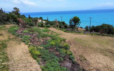 Pessada-Amazing-Coastal-Plot-11