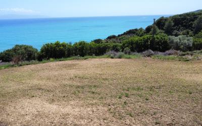 Pessada-Amazing-Coastal-Plot-10