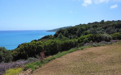 Pessada-Amazing-Coastal-Plot-12