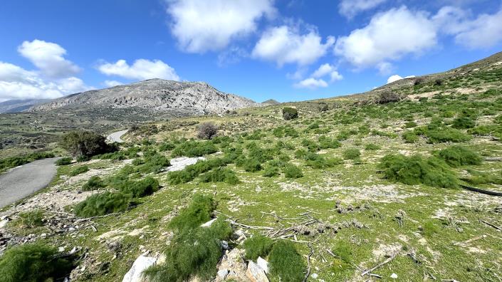 Image No.2-Land for sale