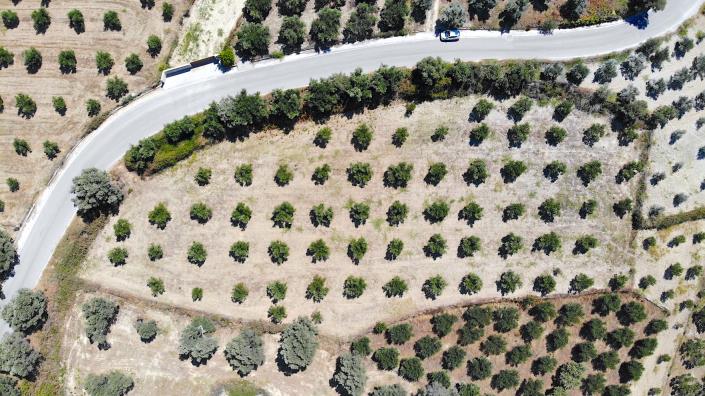 Image No.7-Terrain à vendre à Asteri