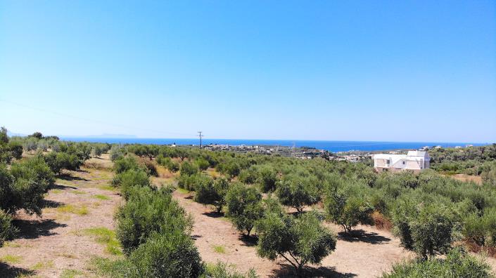 Image No.9-Terrain à vendre à Asteri