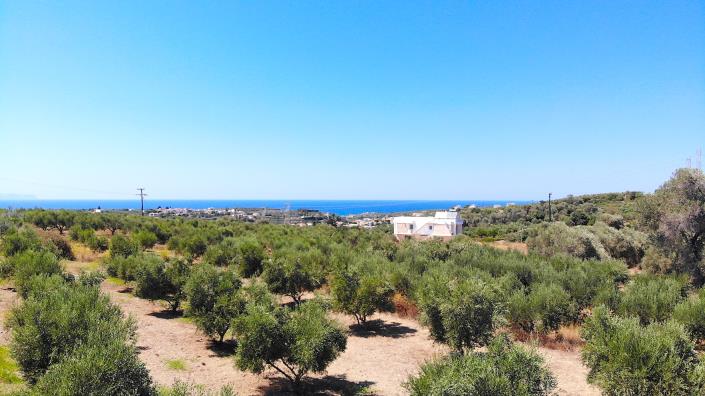 Image No.11-Terrain à vendre à Asteri