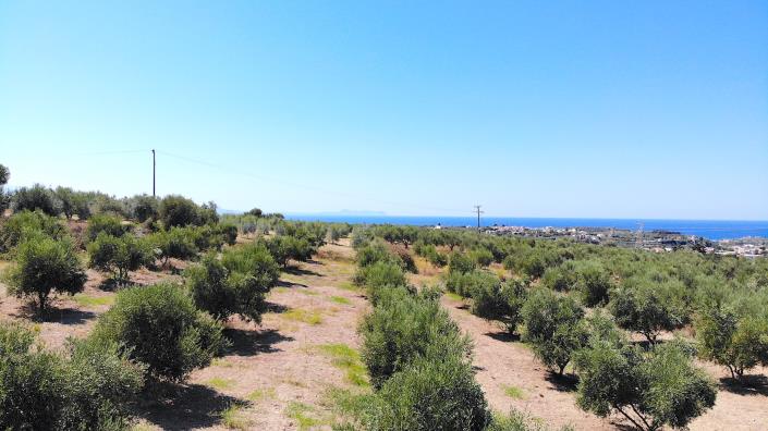 Image No.10-Terrain à vendre à Asteri