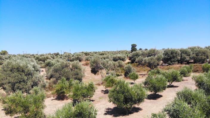 Image No.13-Terrain à vendre à Asteri