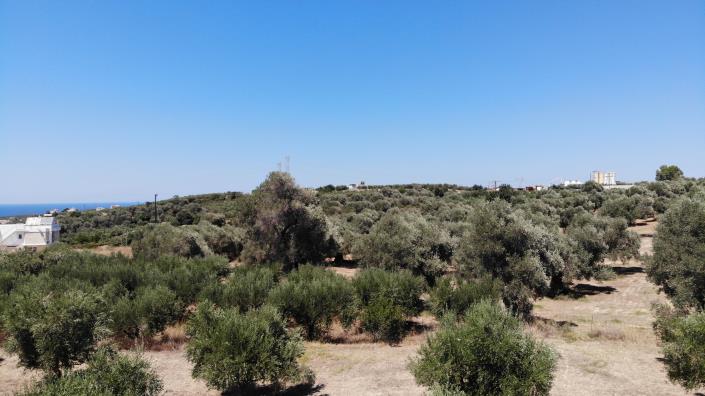 Image No.12-Terrain à vendre à Asteri