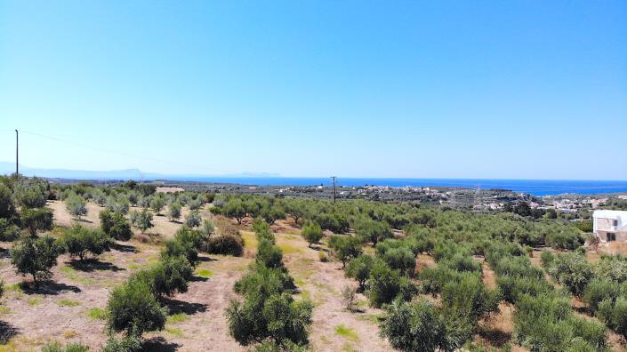 Image No.15-Terrain à vendre à Asteri