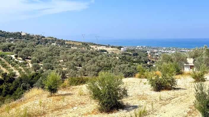 Image No.2-Land for sale