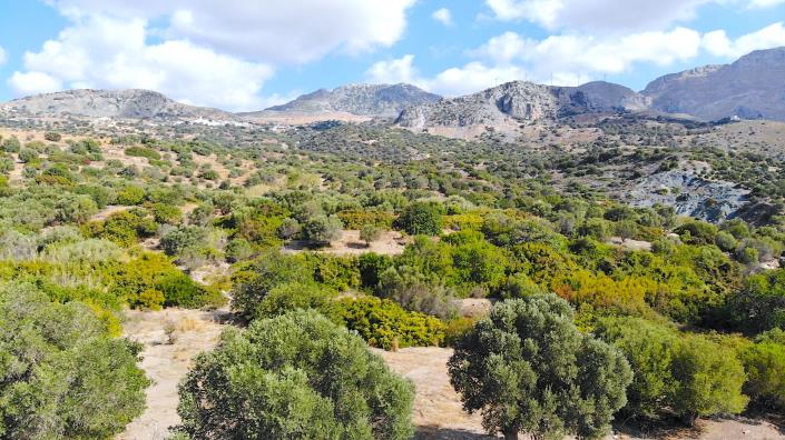 Image No.19-Land for sale