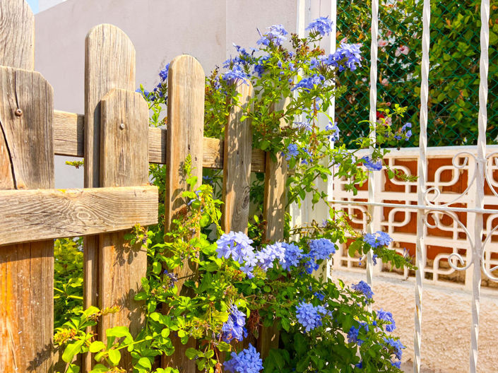 Image No.21-Villa de 3 chambres à vendre à La Mata