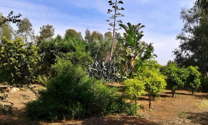 Image No.7-Villa / Détaché de 3 chambres à vendre à Pervolia