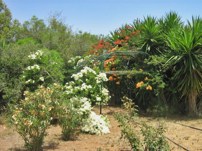 Image No.17-Villa / Détaché de 3 chambres à vendre à Pervolia